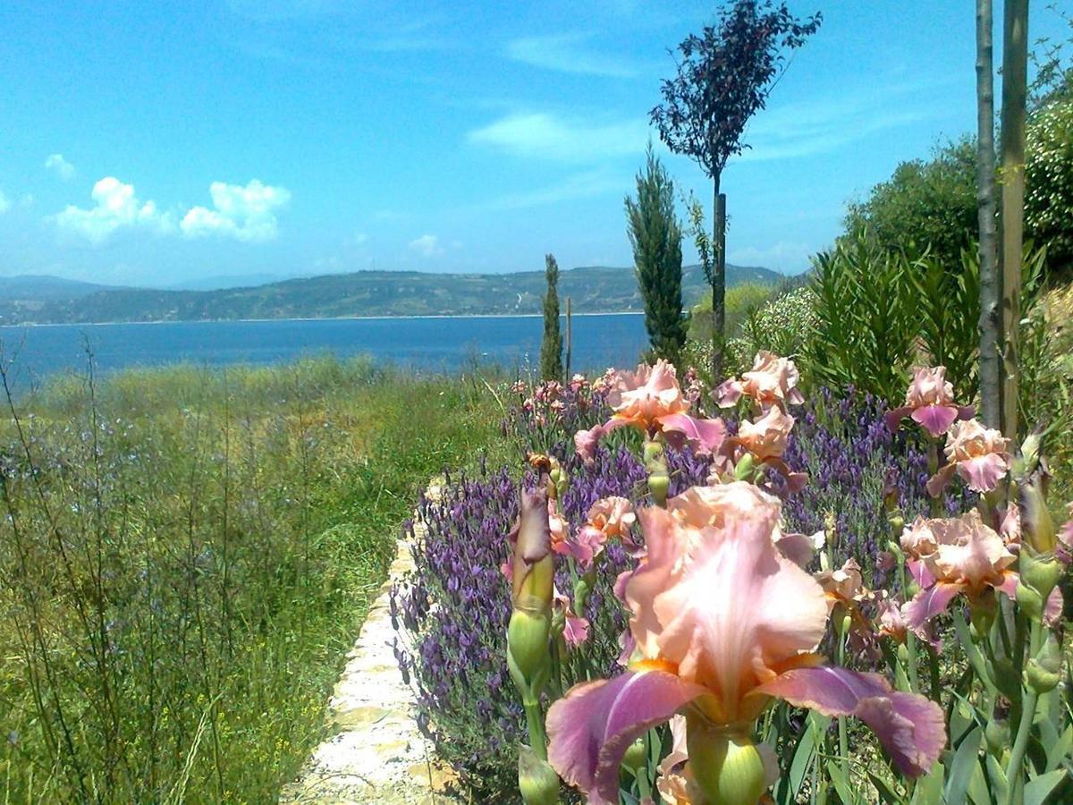 Marvelous Sea View Eco Apt Ammouliani Dış mekan fotoğraf